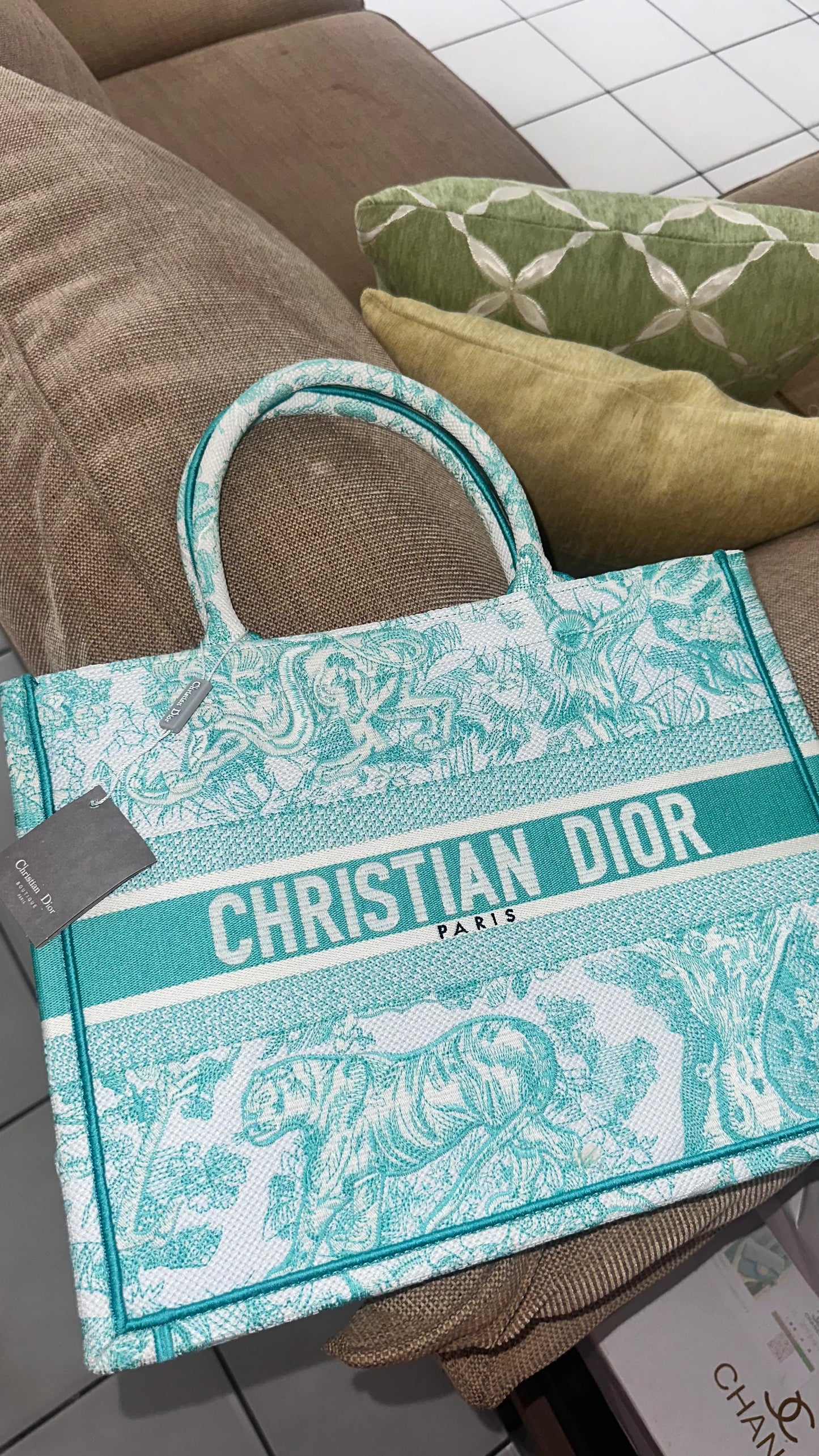 **DUPE** D!0R BOOK TOTE (SMALL)