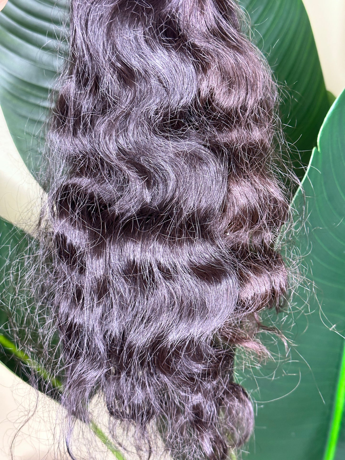 Raw Indian Wavy/Curly Hair 14/16/18