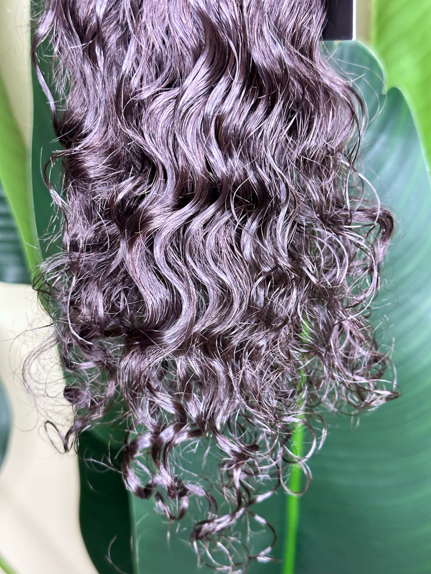 Brazilian Bermuda Curl & Closure